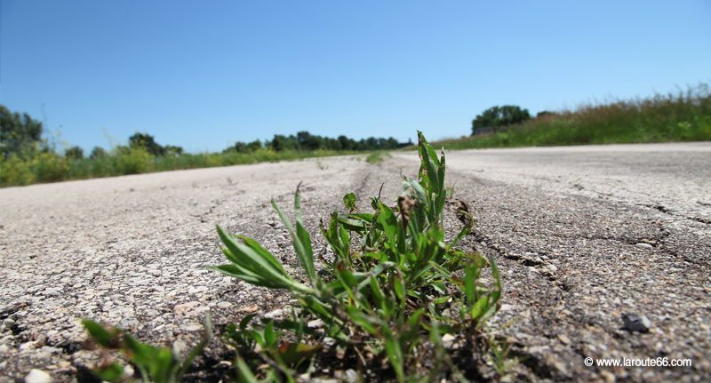 La Route 66 à Dwight, Illinois