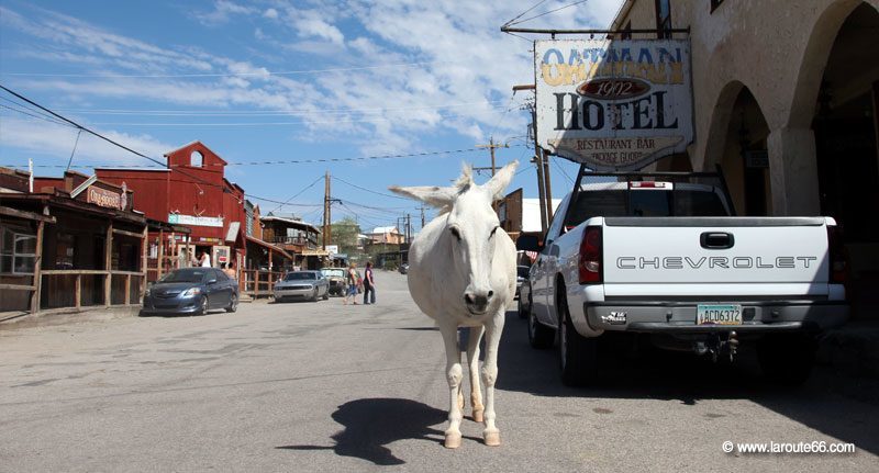 Oatman en Arizona