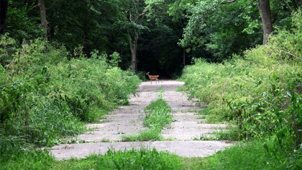 Route 66 : nature et géologie