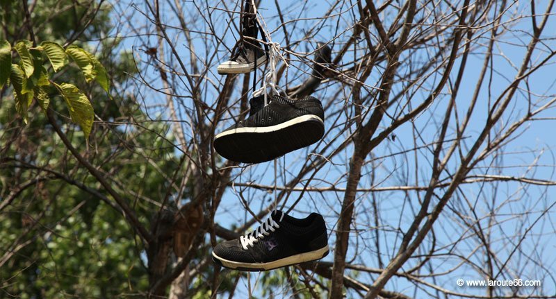 Shoe Tree Trading Post